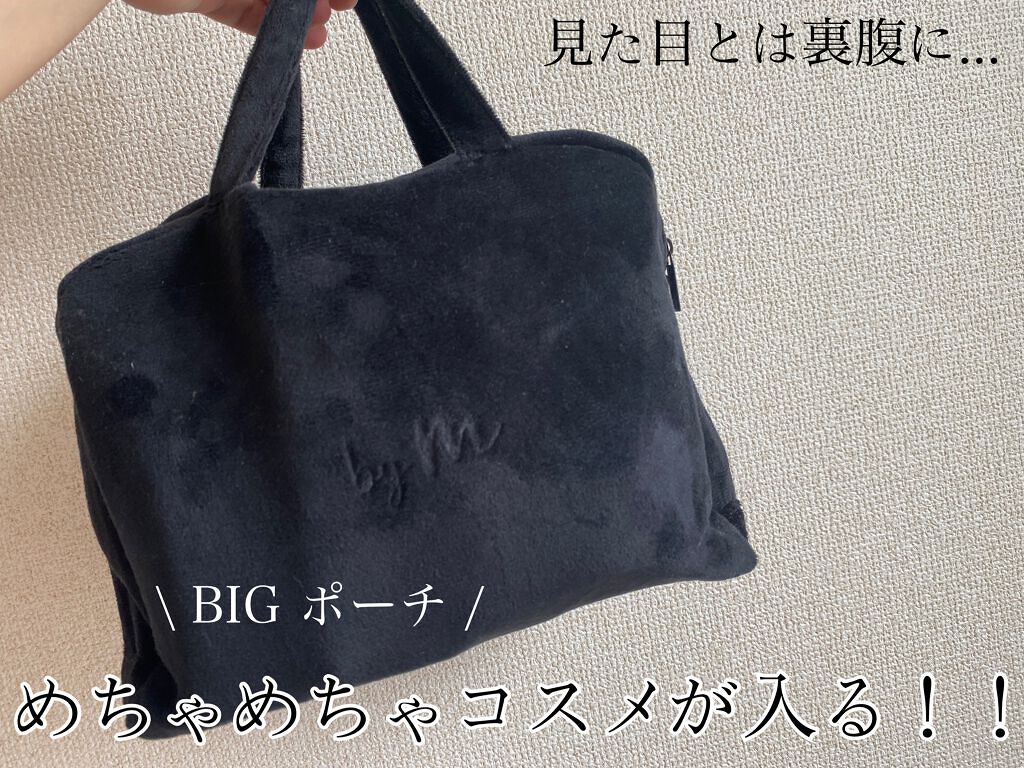 かわにしみきプロデュース ズボラでも収納できる!BIGマルチポーチBOOK/宝島社/雑誌を使ったクチコミ(1枚目)