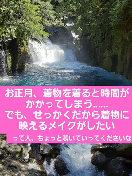 口紅(詰替用)/ちふれ/口紅を使ったクチコミ(1枚目)