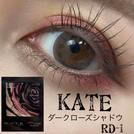 ダークローズシャドウ/KATE/アイシャドウパレットを使ったクチコミ(1枚目)