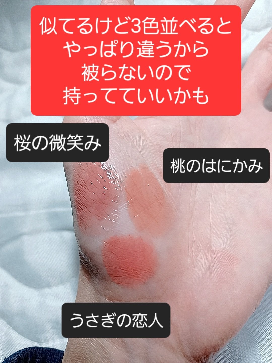 ネンマクフェイク ルージュ/Visée/口紅を使ったクチコミ(3枚目)