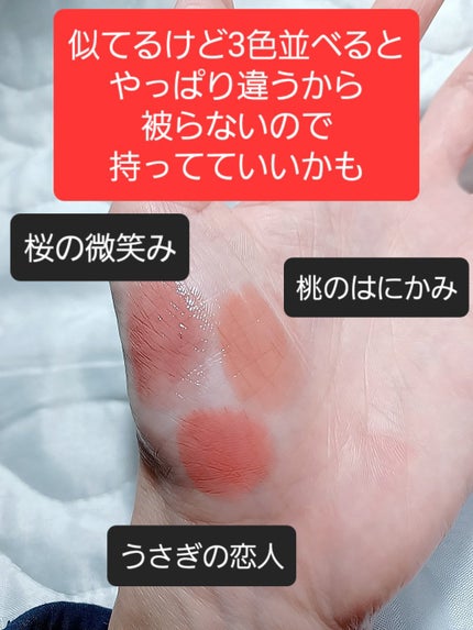 ネンマクフェイク ルージュ/Visée/口紅を使ったクチコミ(3枚目)