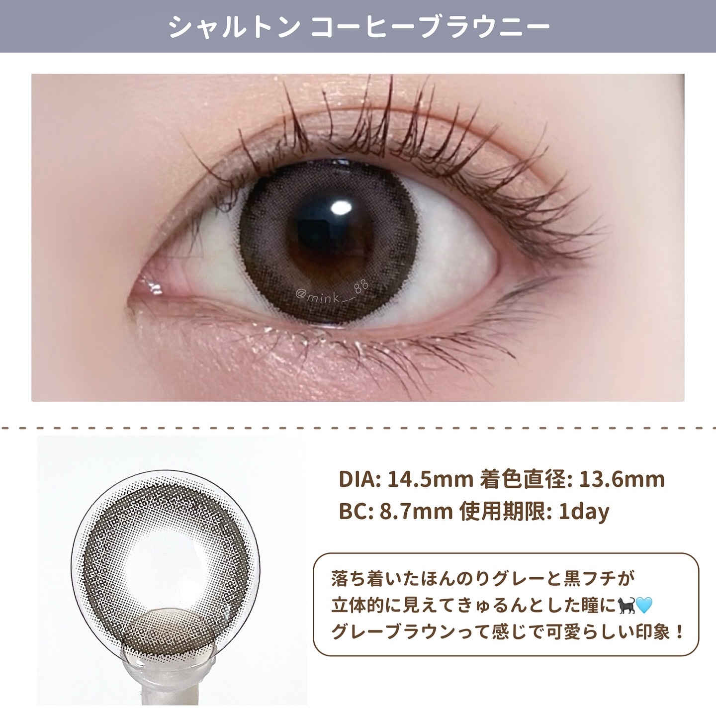 Charton 1day コーヒーブラウニー/Charton/ワンデー（１DAY）カラコンを使ったクチコミ（3枚目）