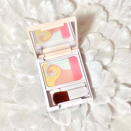 カラーブレンドパウダーコンシーラー/ディエム クルール/パウダーコンシーラーを使ったクチコミ(1枚目)