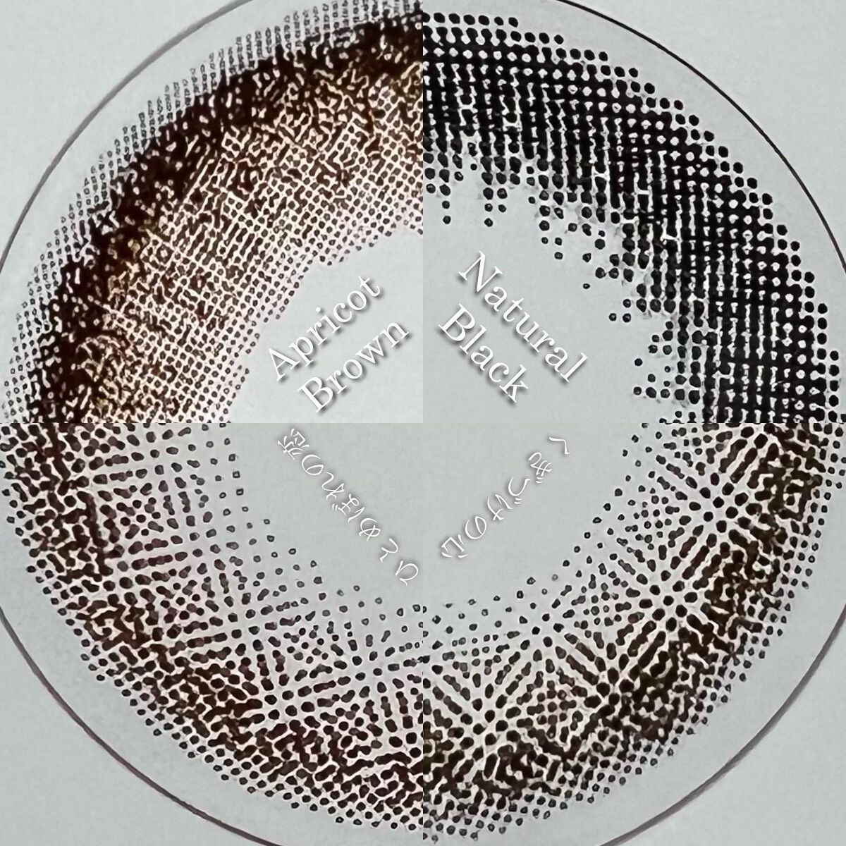 エバーカラーワンデー ナチュラル/エバーカラー/ワンデー（１DAY）カラコンを使ったクチコミ（3枚目）