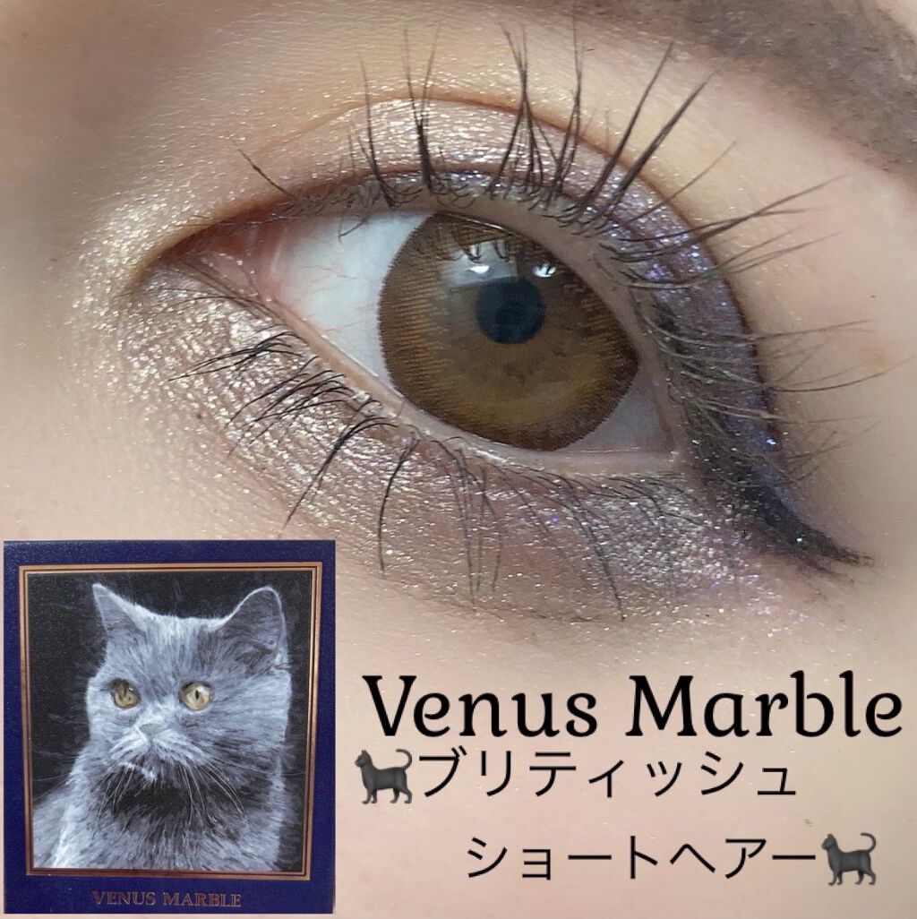 Venus Marble アイシャドウキャットシリーズ/Venus Marble/アイシャドウパレットを使ったクチコミ（1枚目）