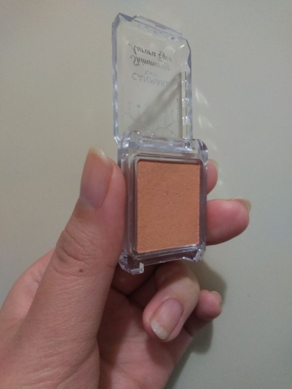 シマリングオーロラアイズ/キャンメイク/単色アイシャドウを使ったクチコミ（2枚目）