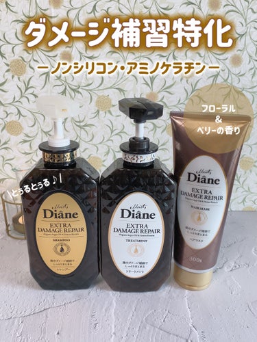   ❁⃘*.ﾟDiane ❁⃘*.ﾟ
～エクストラダメージリペア シャントリ～
  \スーパーダメージ毛の救世主✨/



今回は、【ダイアン】の強ダメージ特化『エクストラダメージリペア』のご紹介です。