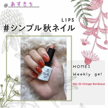 ウィークリージェル WG-25 Vintage Bordeaux/HOMEI/マニキュアを使ったクチコミ（1枚目）