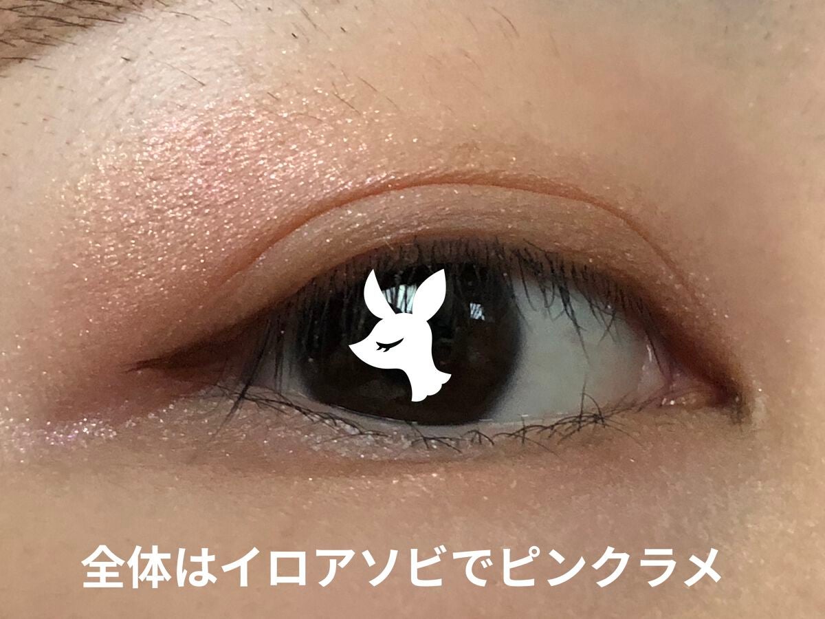 リシェ リキッド アイライナー/Visée/リキッドアイライナーを使ったクチコミ(3枚目)