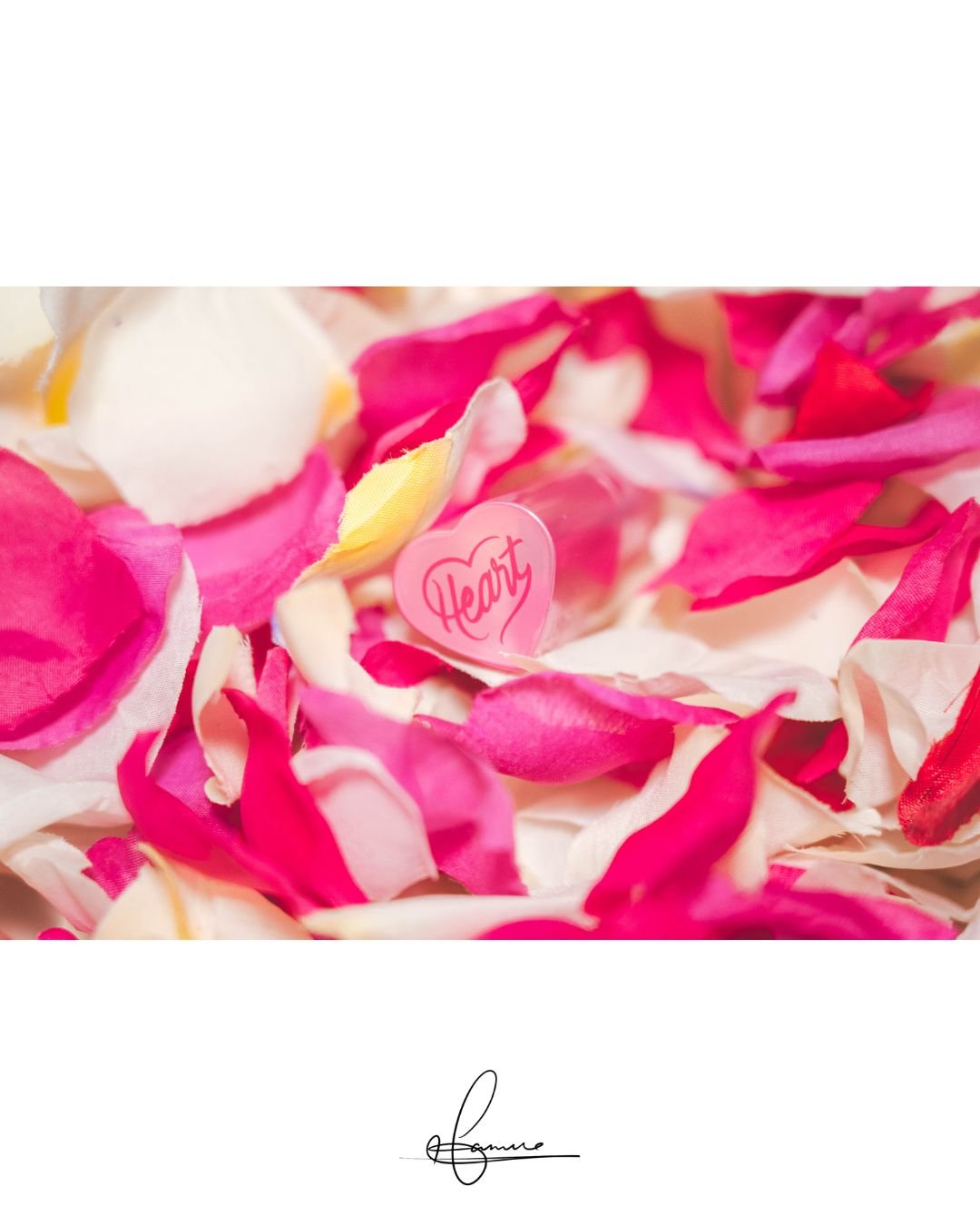 タッチインソール チークブラッシャー/touch in SOL /ジェル・クリームチークを使ったクチコミ（1枚目）