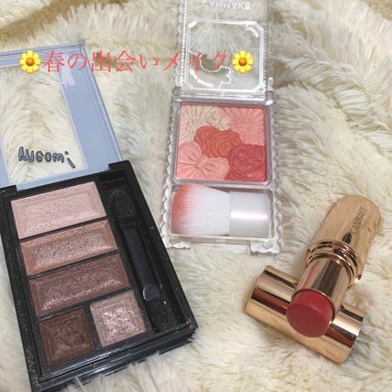 メルティールミナスルージュ/キャンメイク/口紅を使ったクチコミ(1枚目)