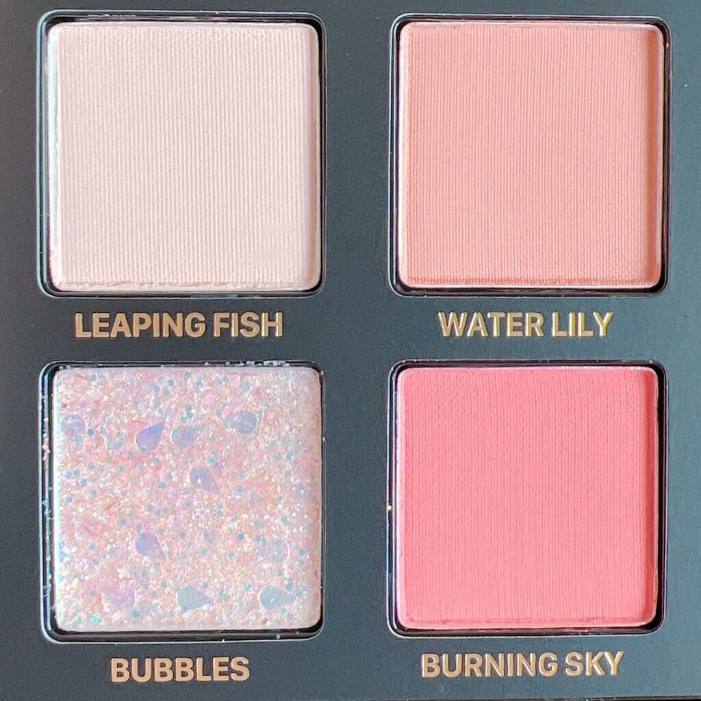 エクスプローラ12色 動物アイシャドウパレット/PERFECT DIARY/アイシャドウパレットを使ったクチコミ(3枚目)