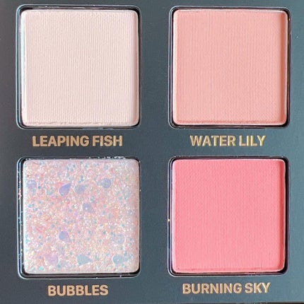 エクスプローラ12色 動物アイシャドウパレット/PERFECT DIARY/アイシャドウパレットを使ったクチコミ(3枚目)