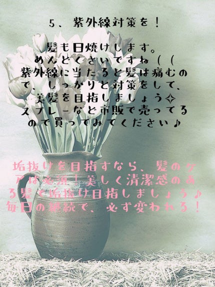 大島椿(ツバキ油)/大島椿/ヘアオイルを使ったクチコミ(4枚目)