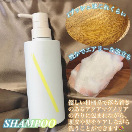 SQ アンチポリューションシャンプー/ShinkoQ/市販シャンプーを使ったクチコミ(3枚目)