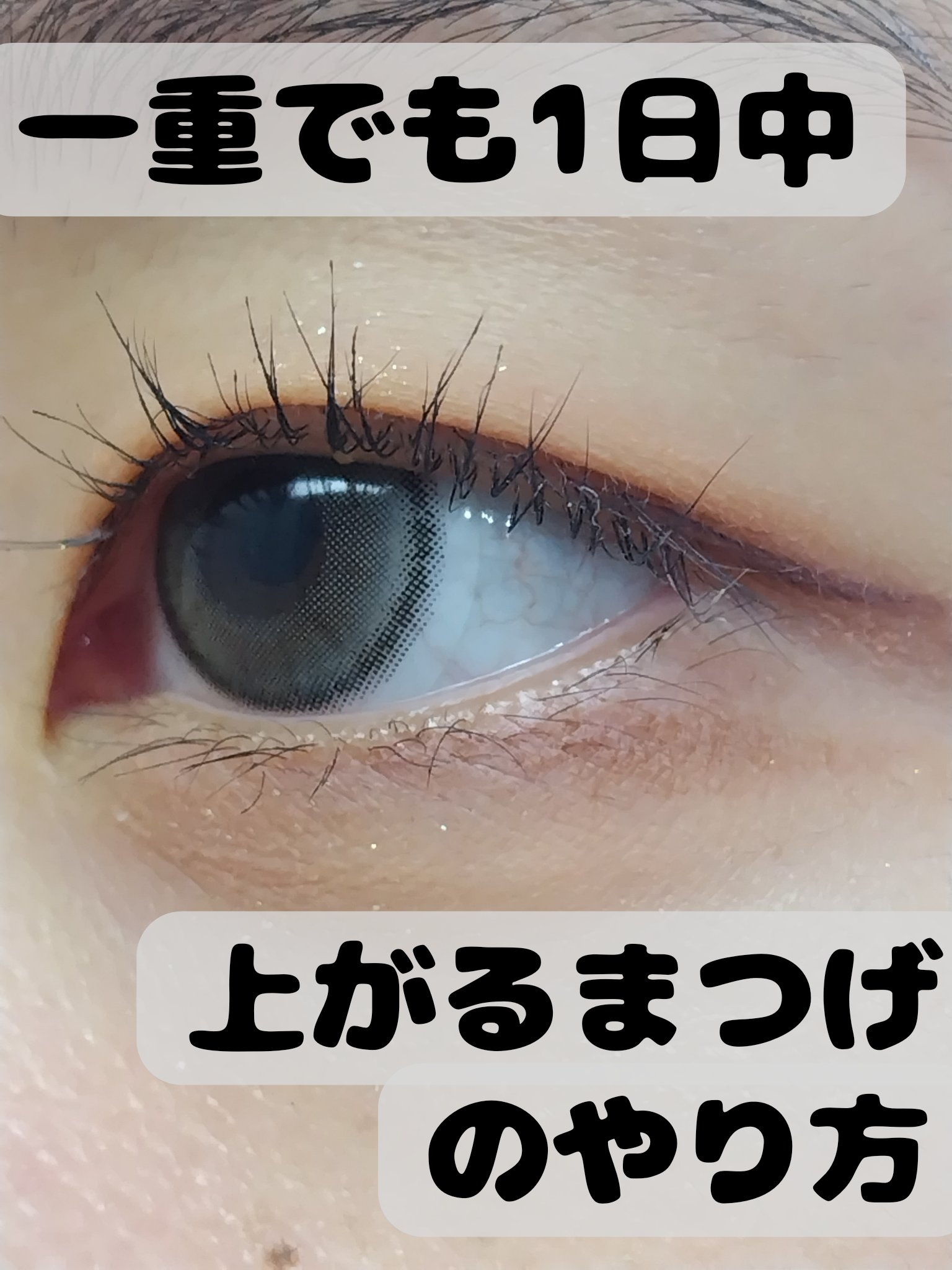 オールデイ ボリュームアンドカールマスカラ/Milk Touch/マスカラを使ったクチコミ（1枚目）