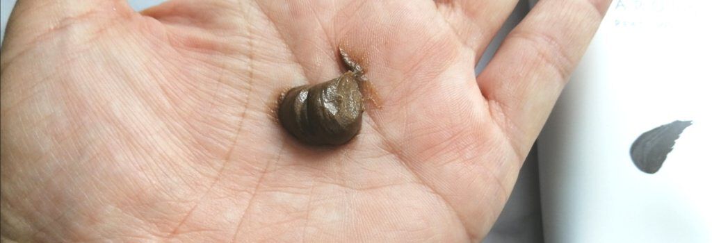 PEAT WASH/SARORO/その他洗顔料を使ったクチコミ（3枚目）