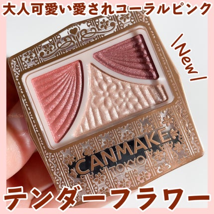 ジューシーピュアアイズ/キャンメイク/アイシャドウパレットを使ったクチコミ(1枚目)