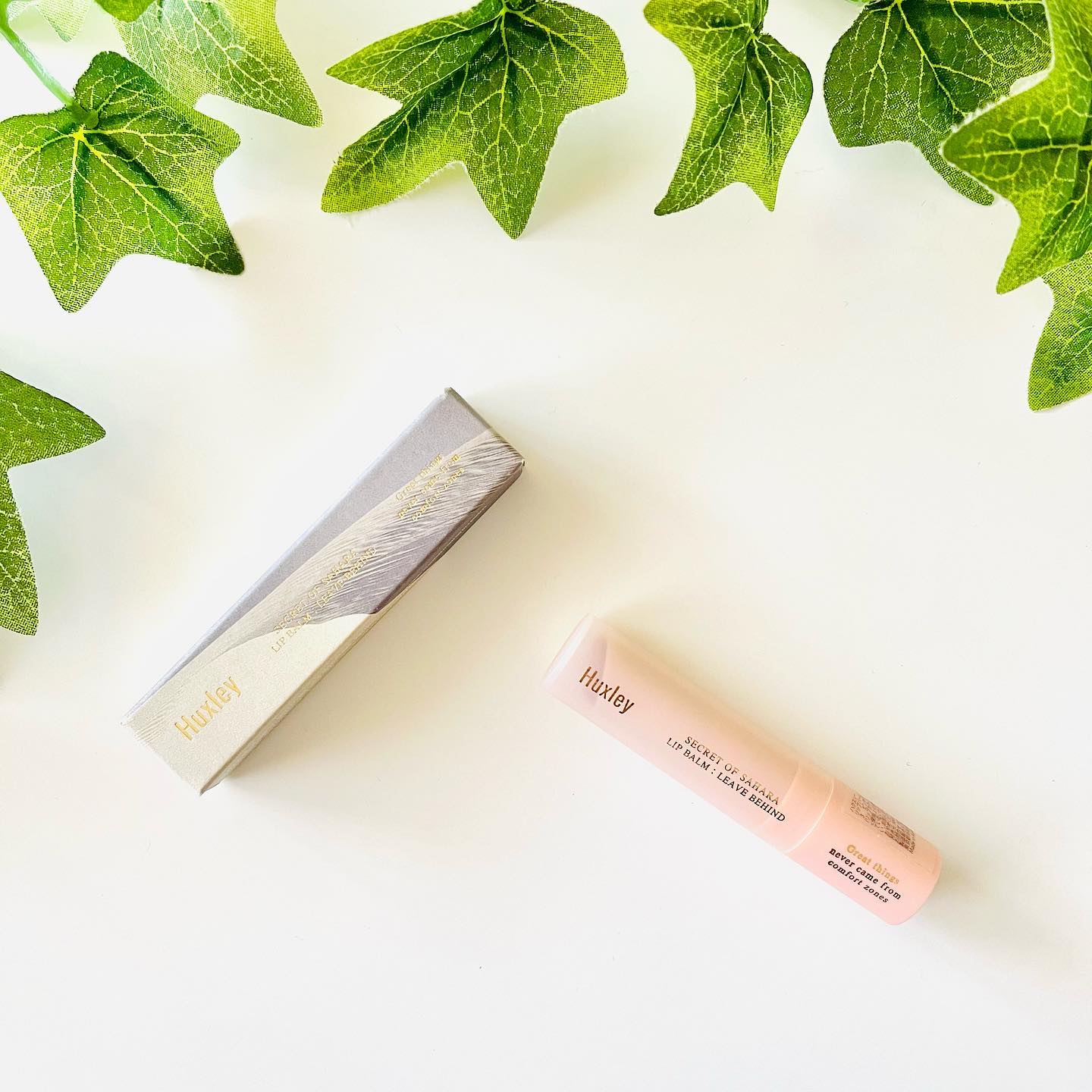 リップバーム；リーブビハインド/Huxley/リップバームを使ったクチコミ（1枚目）