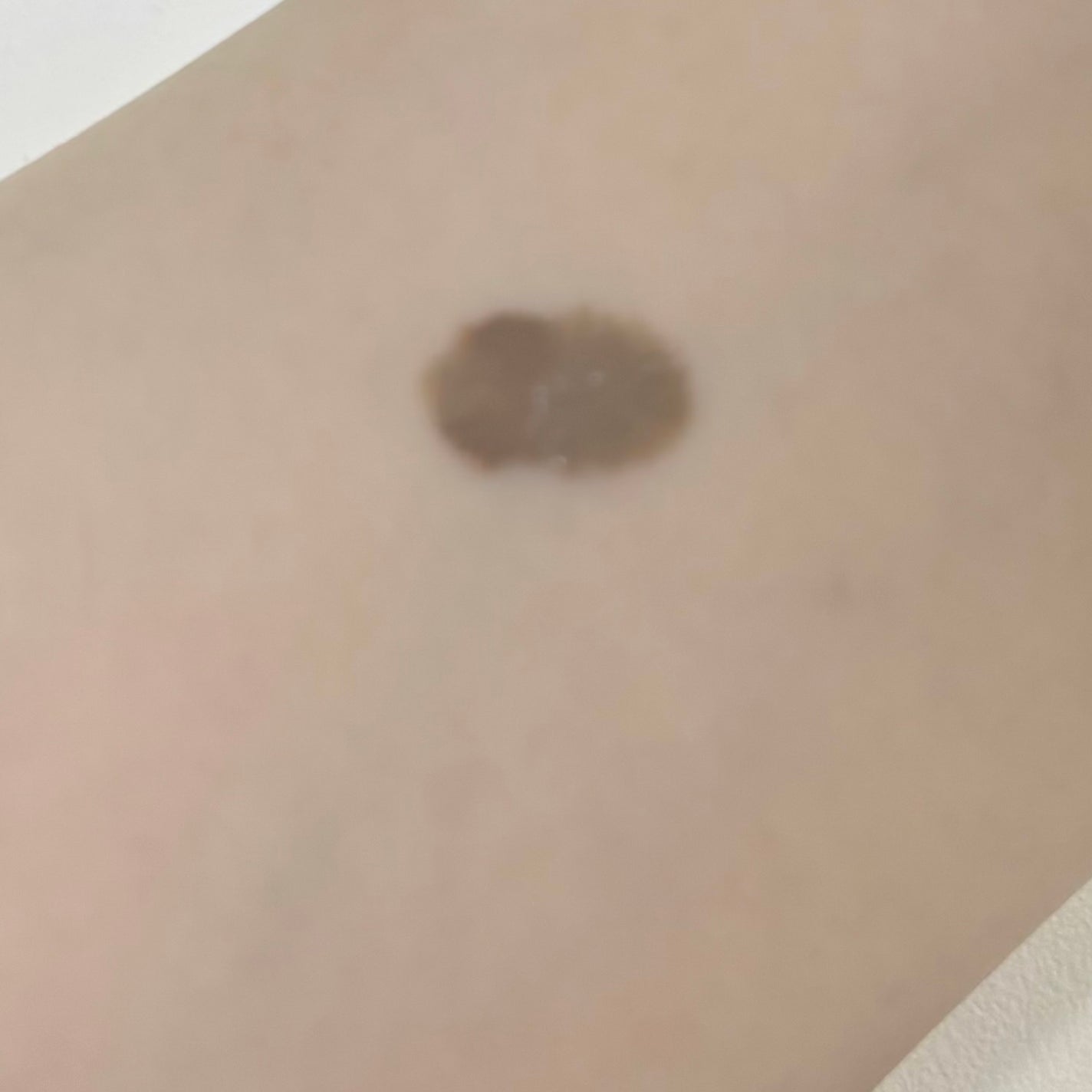 サンスカルプ リキッドシェーディング/SHEGLAM/シェーディングを使ったクチコミ(5枚目)