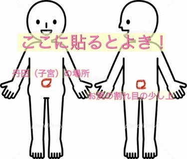 😂😂ょゎょゎ😂😂 on LIPS 「私は極度の寒がりで、寒さで腰痛、肩こり、手足の痺れ感（痛み）が..」（3枚目）