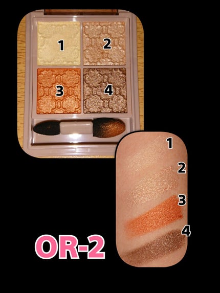 グロッシーリッチ アイズ N/Visée/アイシャドウパレットを使ったクチコミ(4枚目)