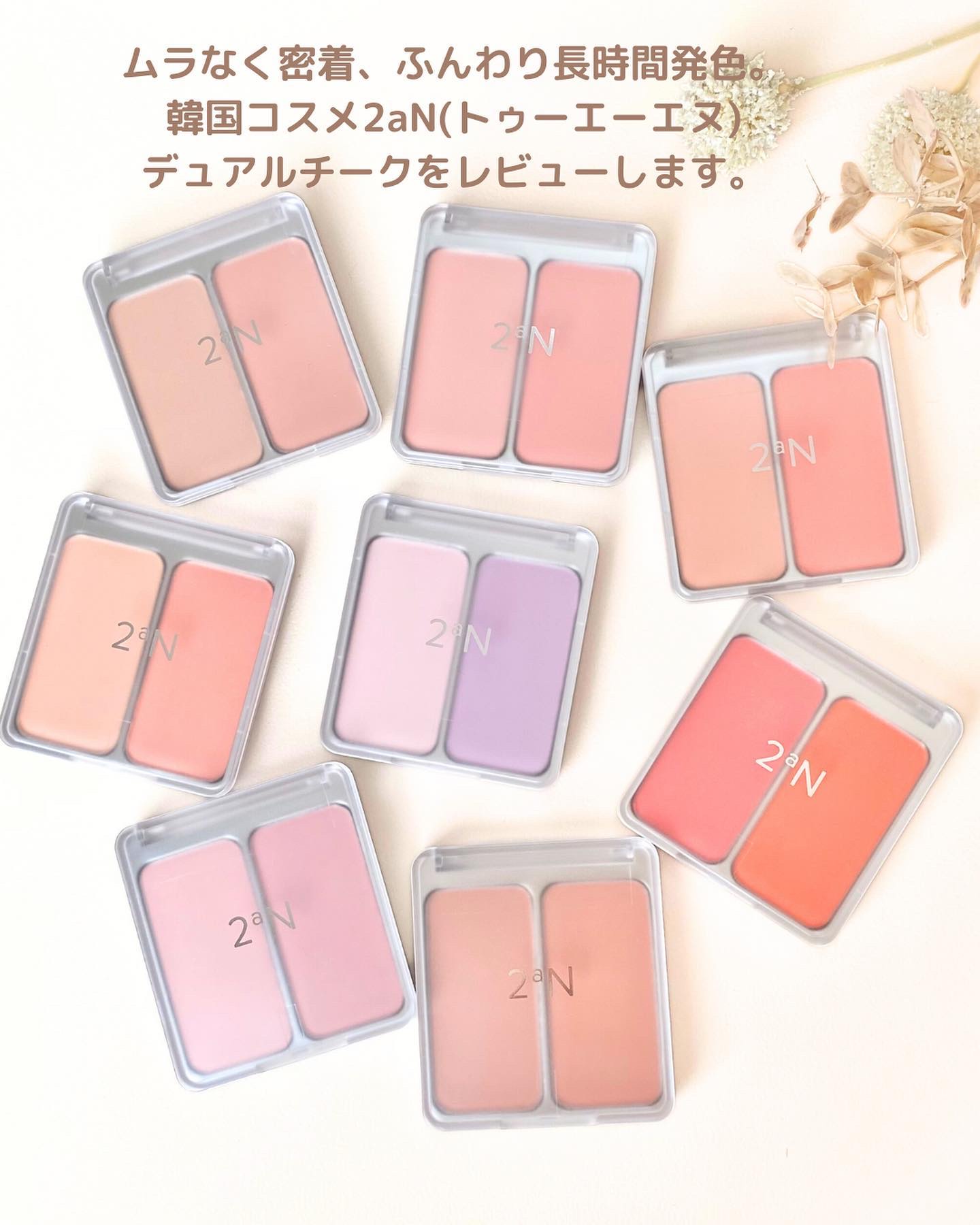 デュアルチーク/2aN/パウダーチークを使ったクチコミ（2枚目）