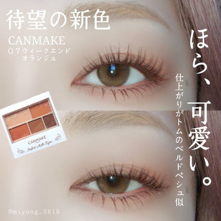 パーフェクトマルチアイズ/キャンメイク/アイシャドウパレットを使ったクチコミ(1枚目)