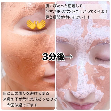 カロテン毛穴レスクレイパック/APRILSKIN/洗い流すパック・マスクを使ったクチコミ(3枚目)