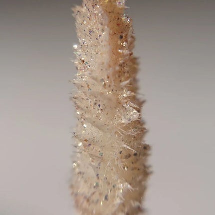 トゥルービューティ パレット/all my things/マルチパレットを使ったクチコミ(7枚目)