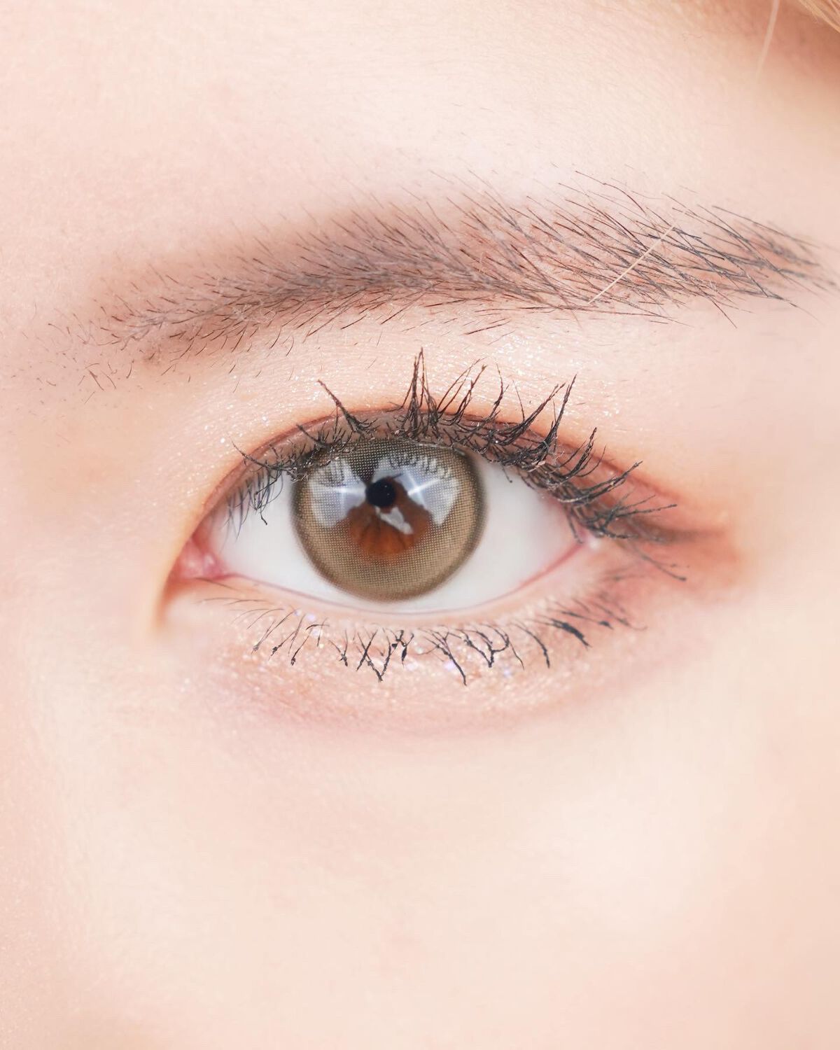 Suger High Kristin/Hapa kristin/カラーコンタクトレンズを使ったクチコミ(6枚目)