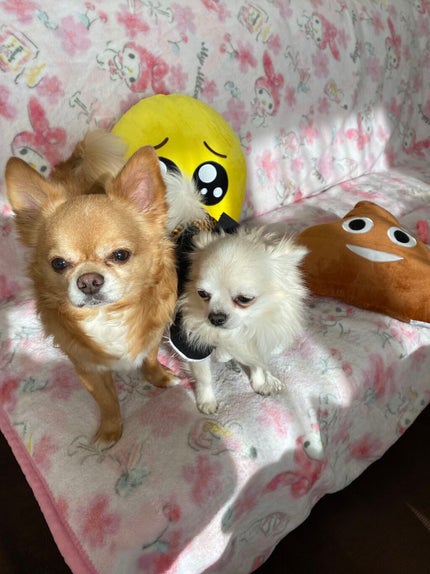 ルージュ ディオール/Dior/口紅を使ったクチコミ(7枚目)