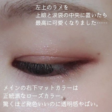 シルキースフレアイズ(マットタイプ)/キャンメイク/アイシャドウパレットを使ったクチコミ(3枚目)