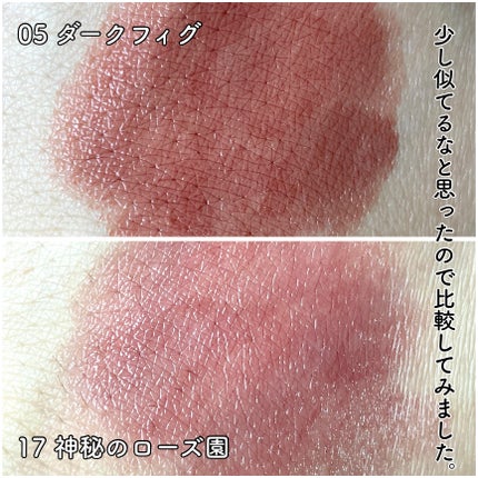 ケイト リップモンスター/KATE/口紅を使ったクチコミ(4枚目)