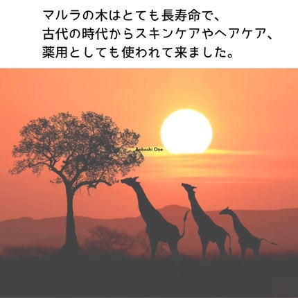 マルラオイル/ヴァーチェ/美容液を使ったクチコミ(2枚目)