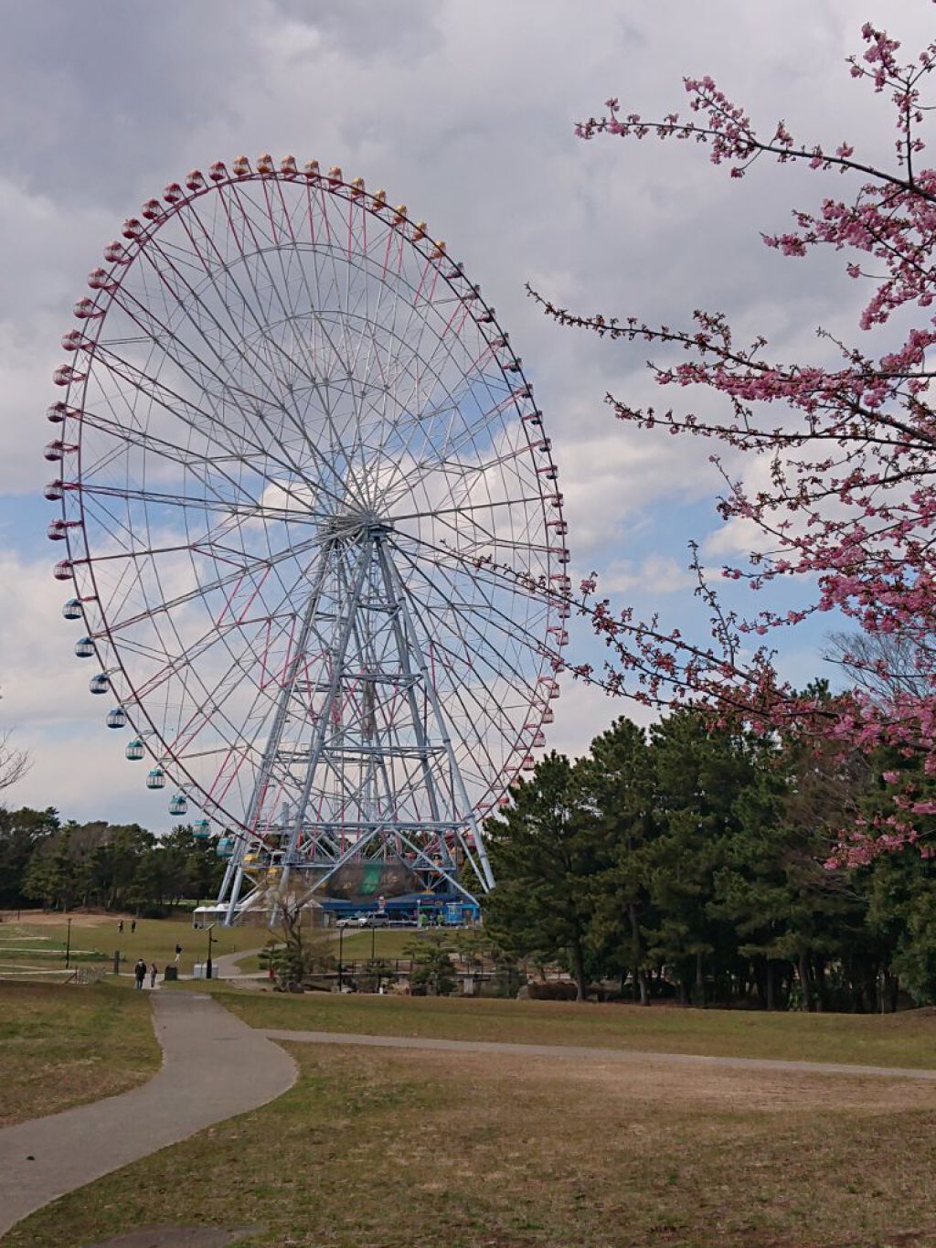 にゃーにゃ一団 on LIPS 「こんにちは🌞今日からまたしばらく仕事が休みで風が強かったけど➰..」(4枚目)