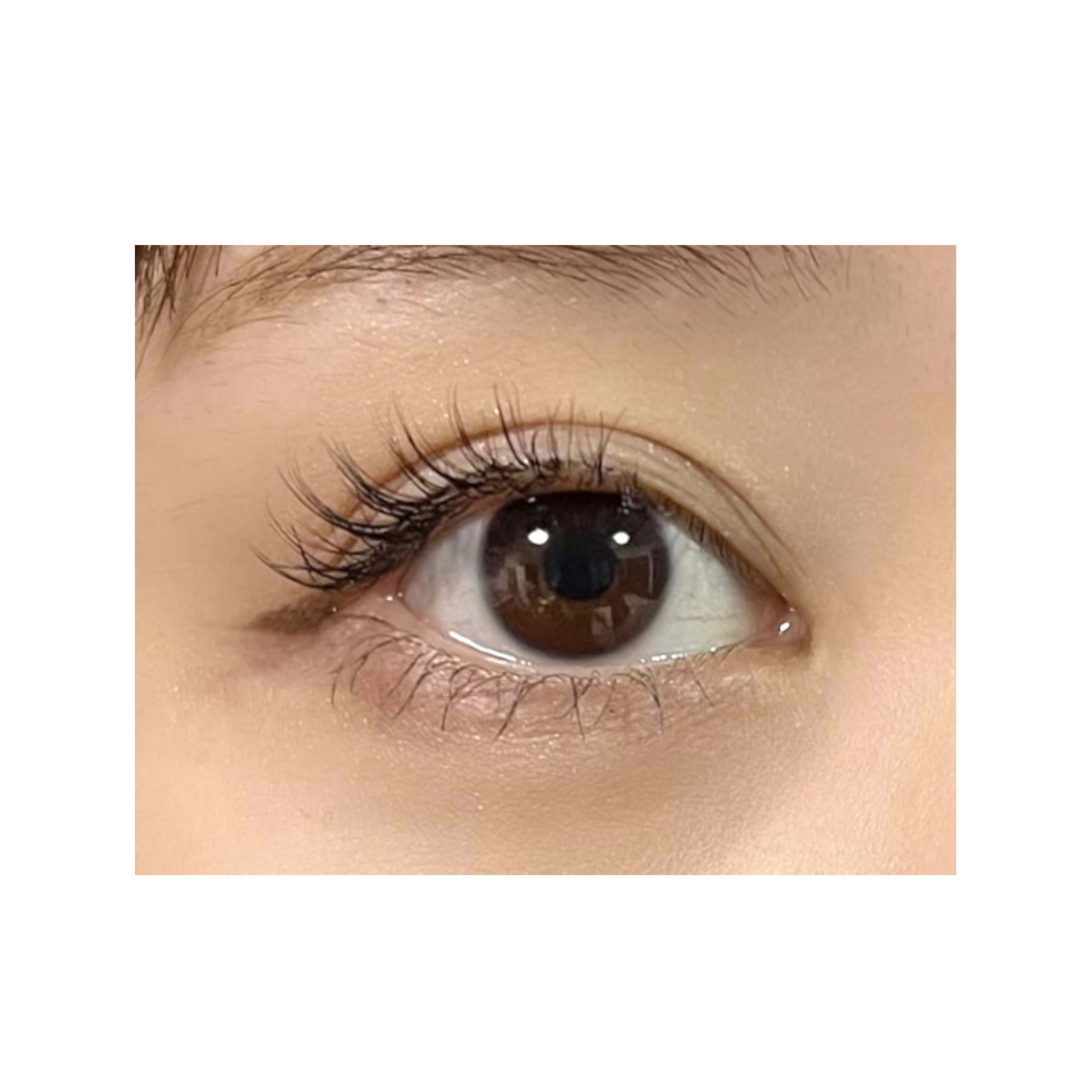 ミッシュブルーミン アイラッシュ インフィニティライン NO.205 スウィートナチュラル/ミッシュブルーミン/つけまつげを使ったクチコミ（3枚目）