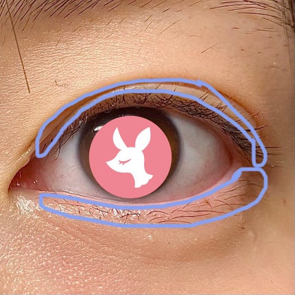 まつげ美容液EX/CEZANNE/まつげ美容液を使ったクチコミ(6枚目)