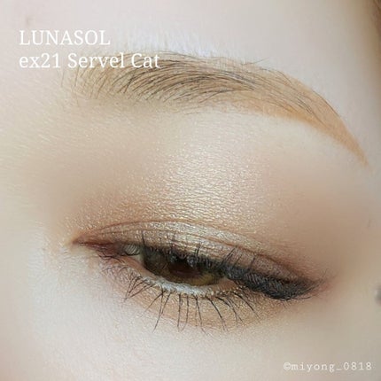 アイカラーレーション/LUNASOL/アイシャドウパレットを使ったクチコミ(7枚目)