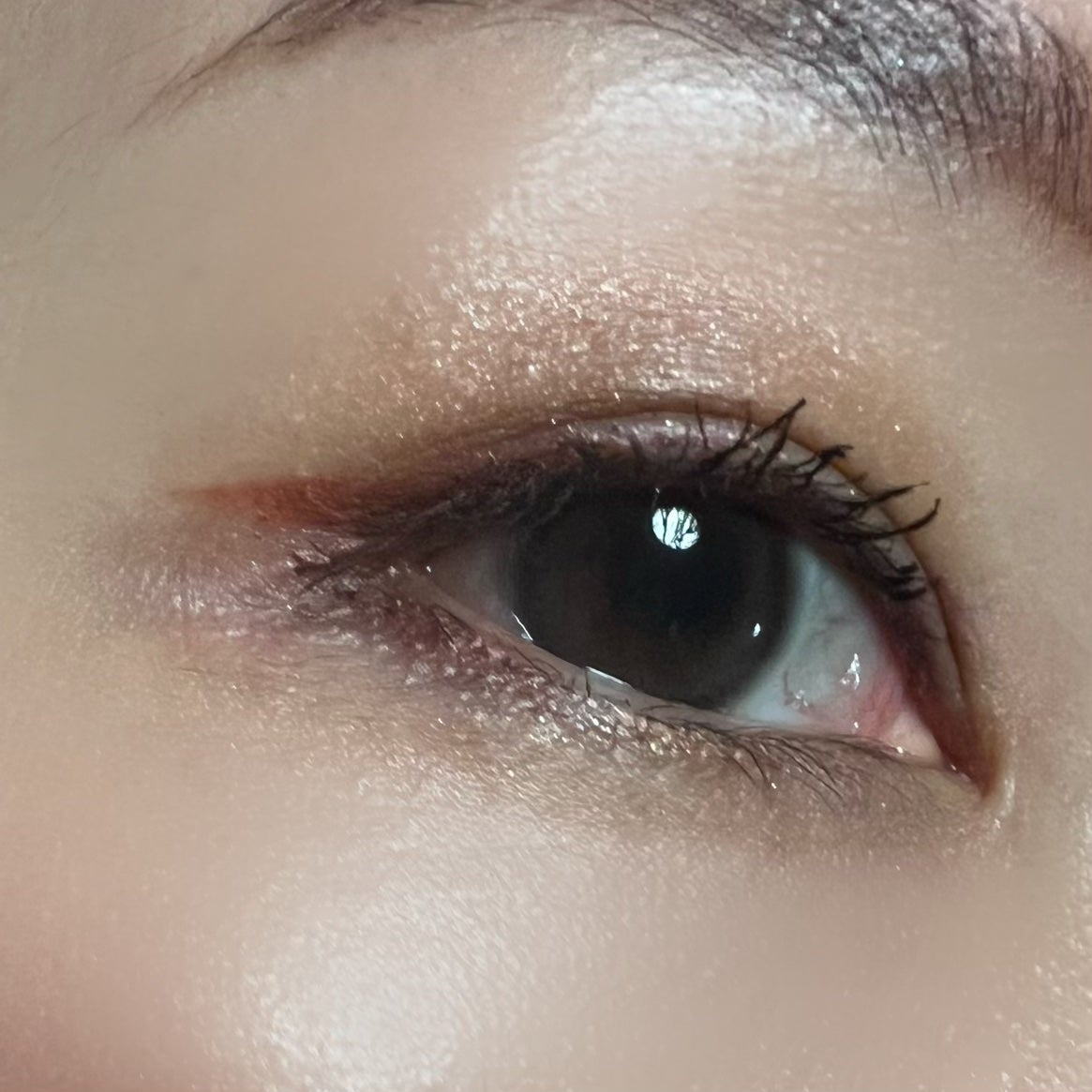 【旧】サンク クルール クチュール/Dior/アイシャドウパレットを使ったクチコミ(2枚目)