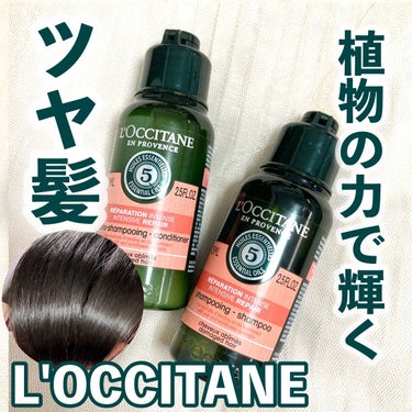 L'OCCITANE ファイブハーブスリペアリングシャンプー／コンディショナーのクチコミ「植物の力で輝くさらツヤ髪に♡

L'OCCITANE
ファイブハーブスリペアリングシャンプー／.....」（1枚目）