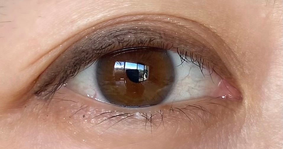 dasique special book /宝島社/書籍を使ったクチコミ(4枚目)