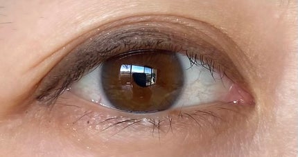 dasique special book /宝島社/書籍を使ったクチコミ(4枚目)