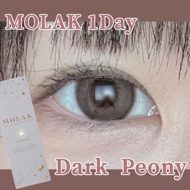 MOLAK 1day/MOLAK/ワンデー（１DAY）カラコンを使ったクチコミ（1枚目）