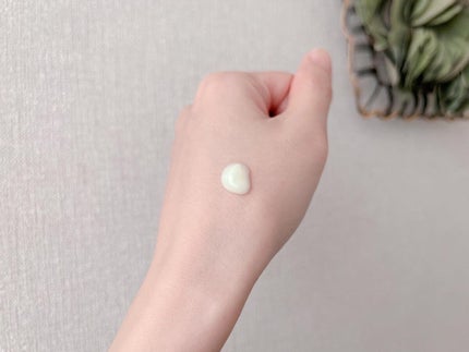 シカレチA エッセンス0.1/VT/美容液を使ったクチコミ(4枚目)