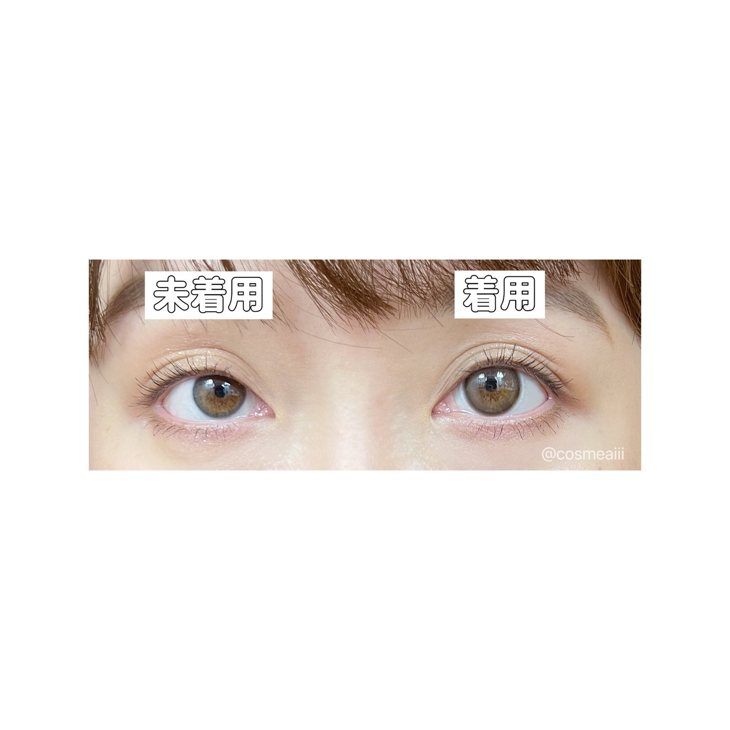 chiffon/meilly/ワンデー(1DAY)カラコンを使ったクチコミ(5枚目)