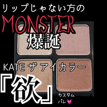 ザ アイカラー CT504（Web限定）/KATE/シングルアイシャドウを使ったクチコミ（1枚目）