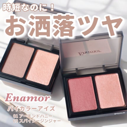 バイカラーアイズ/Enamor/アイシャドウパレットを使ったクチコミ(1枚目)