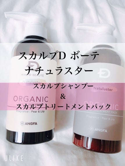 スカルプD ボーテ ナチュラスター スカルプシャンプー/トリートメントパック/アンファー(スカルプD)/シャンプー・コンディショナーを使ったクチコミ(1枚目)