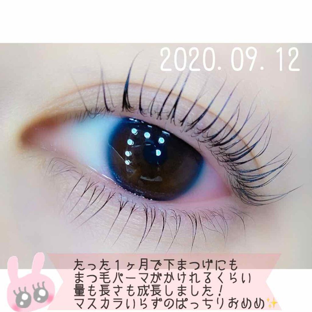 EMAKED(エマーキット)/水橋保寿堂製薬/まつげ美容液を使ったクチコミ(3枚目)